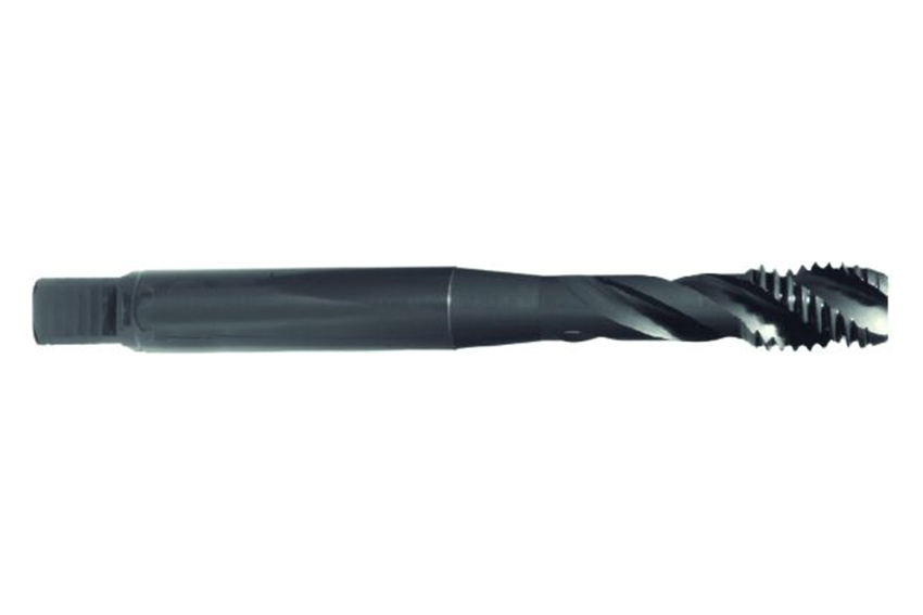 S-SFT M12