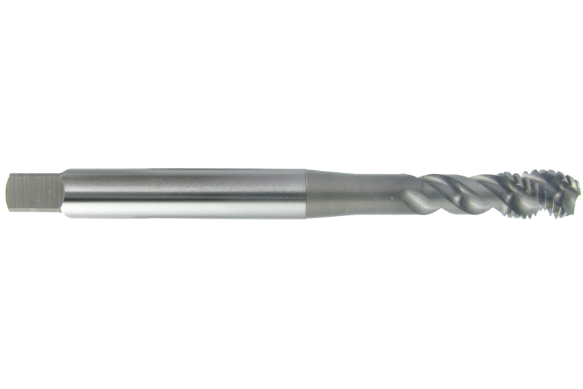CC-SFT M2.5